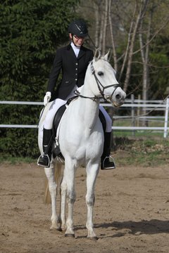 Bild 1454 - WBO-Turnier am 9.4.11